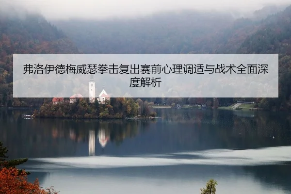 弗洛伊德梅威瑟拳击复出赛前心理调适与战术全面深度解析 | WANBO